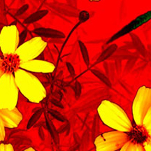 智能办公的免费ddos网页端